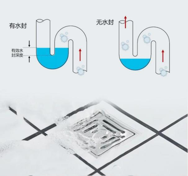 同层排水系统